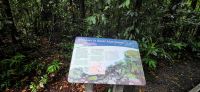 257 Spaziergang im Regenwald &ndash; &copy; Susanne Schirmann (Eberhardt TRAVEL)