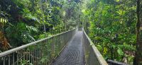 258 Regenwald &ndash; &copy; Susanne Schirmann (Eberhardt TRAVEL)
