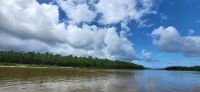 270 Bootsfahrt Daintree River &ndash; &copy; Susanne Schirmann (Eberhardt TRAVEL)
