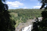 Barron Wasserfall nahe Kuranda (4).jpg &ndash; &copy; Annika Lembke (Eberhardt TRAVEL)