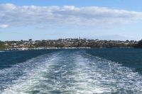 Bootsfahrt auf dem Swan RIver - Fremantle to Perth (6).jpg &ndash; &copy; Annika Lembke (Eberhardt TRAVEL)