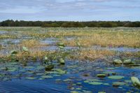 Bootsfahrt auf dem Yellow Waters, Kakadu Nationalpark (30).jpg &ndash; &copy; Annika Lembke (Eberhardt TRAVEL)