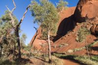 Erkundungen am Uluru, Uluru-Kata-Tjuta-Nationalpark (8).jpg &ndash; &copy; Annika Lembke (Eberhardt TRAVEL)