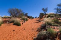 Fahrt nach Alice Springs, Sanddüne_Salzsee.jpg &ndash; &copy; Annika Lembke (Eberhardt TRAVEL)