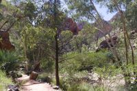 Western MacDonnall Ranges, Standley Chasm (3).jpg &ndash; &copy; Annika Lembke (Eberhardt TRAVEL)