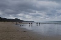Great Ocean Road (4).jpg &ndash; &copy; Annika Lembke (Eberhardt TRAVEL)