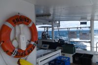 Katamaranfahrt mit der Ocean Spirit, Great Barrier Reef (8).jpg &ndash; &copy; Annika Lembke (Eberhardt TRAVEL)