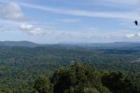 Kuranda Skyrail Seilbahn (3).jpg &ndash; &copy; Annika Lembke (Eberhardt TRAVEL)