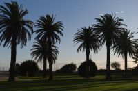 Melbourne - St. Kilda (1).jpg &ndash; &copy; Annika Lembke (Eberhardt TRAVEL)