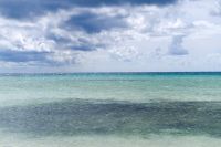 Michaelmas Cay, Great Barrier Reef (7).jpg &ndash; &copy; Annika Lembke (Eberhardt TRAVEL)