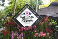 Singapur - Orchideen Garten im botanischen Garten (3).jpg &ndash; &copy; Annika Lembke (Eberhardt TRAVEL)