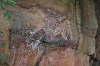 Spaziergang zu den Felsmalereien an den Nourlangiefelsen, Kakadu Nationalpark (10).jpg &ndash; &copy; Annika Lembke (Eberhardt TRAVEL)