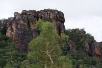 Spaziergang zu den Felsmalereien an den Nourlangiefelsen, Kakadu Nationalpark (14).jpg &ndash; &copy; Annika Lembke (Eberhardt TRAVEL)