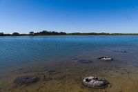 Westaustralien - Lake Thetis (4).jpg &ndash; &copy; Annika Lembke (Eberhardt TRAVEL)