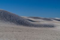 Westaustralien - Lancelin Sanddünen (2).jpg &ndash; &copy; Annika Lembke (Eberhardt TRAVEL)