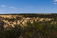 Westaustralien - Nambung Nationalpark (4).jpg &ndash; &copy; Annika Lembke (Eberhardt TRAVEL)