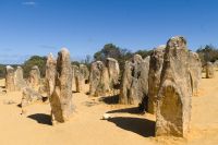 Westaustralien - Nambung Nationalpark (8).jpg &ndash; &copy; Annika Lembke (Eberhardt TRAVEL)