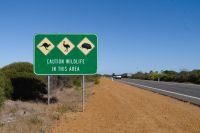 Westaustralien - Schild Caution Wildlife.jpg &ndash; &copy; Annika Lembke (Eberhardt TRAVEL)