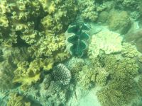 Great Barrier Reef (3).jpeg &ndash; &copy; Annika Lembke (Eberhardt TRAVEL)