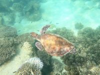 Great Barrier Reef (4).jpeg &ndash; &copy; Annika Lembke (Eberhardt TRAVEL)
