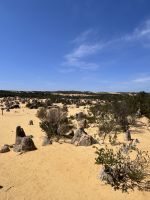 Perth: Pinnacles Nationalpark &ndash; &copy; Anne Fohlert (Eberhardt TRAVEL)