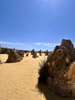 Perth: Pinnacles Nationalpark &ndash; &copy; Anne Fohlert (Eberhardt TRAVEL)