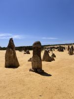 Perth: Pinnacles Nationalpark &ndash; &copy; Anne Fohlert (Eberhardt TRAVEL)
