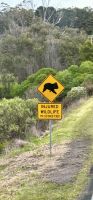 Ausflug Great Ocean Road &ndash; &copy; Anne Fohlert (Eberhardt TRAVEL)