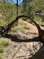 Alice Springs: Standley Chasm &ndash; &copy; Anne Fohlert (Eberhardt TRAVEL)