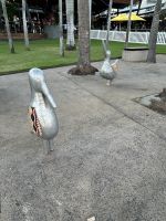 Esplanade in Darwin &ndash; &copy; Anne Fohlert (Eberhardt TRAVEL)