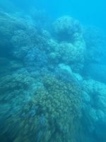 Cairns: Great Barrier Reef &ndash; &copy; Anne Fohlert (Eberhardt TRAVEL)