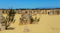 Pinnacles, Western Australia &ndash; &copy; Monika Cortese (Eberhardt TRAVEL)