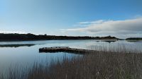 Anglesea &ndash; &copy; Monika Cortese (Eberhardt TRAVEL)