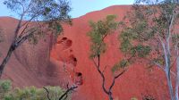 Uluru  &ndash; &copy; Monika Cortese (Eberhardt TRAVEL)