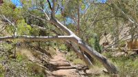 Standley Chasm, West MacDonnell National Park &ndash; &copy; Monika Cortese (Eberhardt TRAVEL)