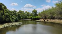 Yellow Water River Bootsfahrt, Kakadu Nationalpark  &ndash; &copy; Monika Cortese (Eberhardt TRAVEL)