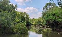 Yellow Water River Bootsfahrt, Kakadu Nationalpark  &ndash; &copy; Monika Cortese (Eberhardt TRAVEL)