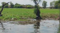 Yellow Water River Bootsfahrt, Kakadu Nationalpark  &ndash; &copy; Monika Cortese (Eberhardt TRAVEL)