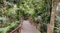 Ted Peak, Queensland  &ndash; &copy; Monika Cortese (Eberhardt TRAVEL)