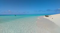 Michaelmas Cay, Great Barrier Reef  &ndash; &copy; Monika Cortese (Eberhardt TRAVEL)