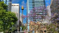 Spaziergang durch Sydney  &ndash; &copy; Monika Cortese (Eberhardt TRAVEL)