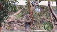 Featherdale Sydney Wildlife Park