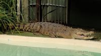 Featherdale Sydney Wildlife Park &ndash; &copy; Monika Cortese (Eberhardt TRAVEL)