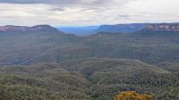 Blue Mountains &ndash; &copy; Monika Cortese (Eberhardt TRAVEL)