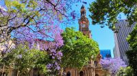 Town Hall, Sydney  &ndash; &copy; Monika Cortese (Eberhardt TRAVEL)