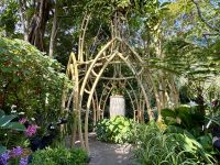 3. Tag: Stadtrundfahrt durch Singapur – Nationaler Orchideengarten im Botanischen Garten