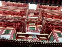 3. Tag: Stadtrundfahrt durch Singapur – Buddha Tooth Relic Temple in Chinatown