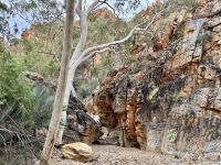 8. Tag: Ausflug in die West MacDonnell Ranges – Spaziergang zur Standley Chasm
