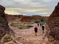 10. Tag: Morgenspaziergang am Kings Canyon (Kings Canyon Rim Walk)