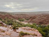 10. Tag: Morgenspaziergang am Kings Canyon (Kings Canyon Rim Walk)